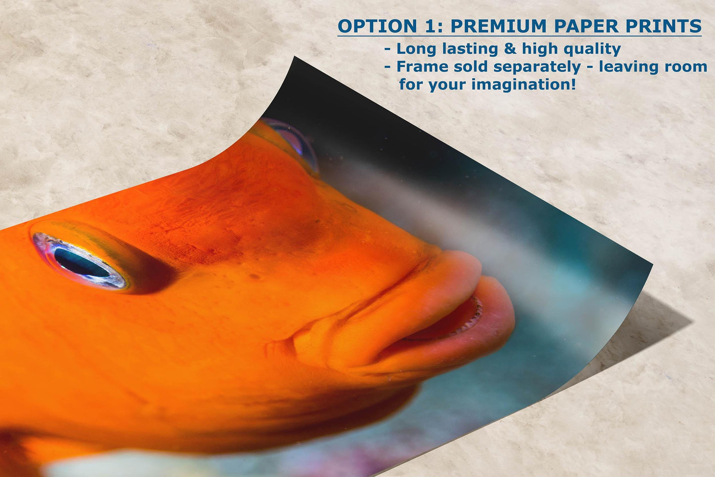 Garibaldi Fish Marine Biology Ocean Life, Underwater Scenery Nature Photo, California Marine Inhabitant, Nature Decor, Relaxation Artwork