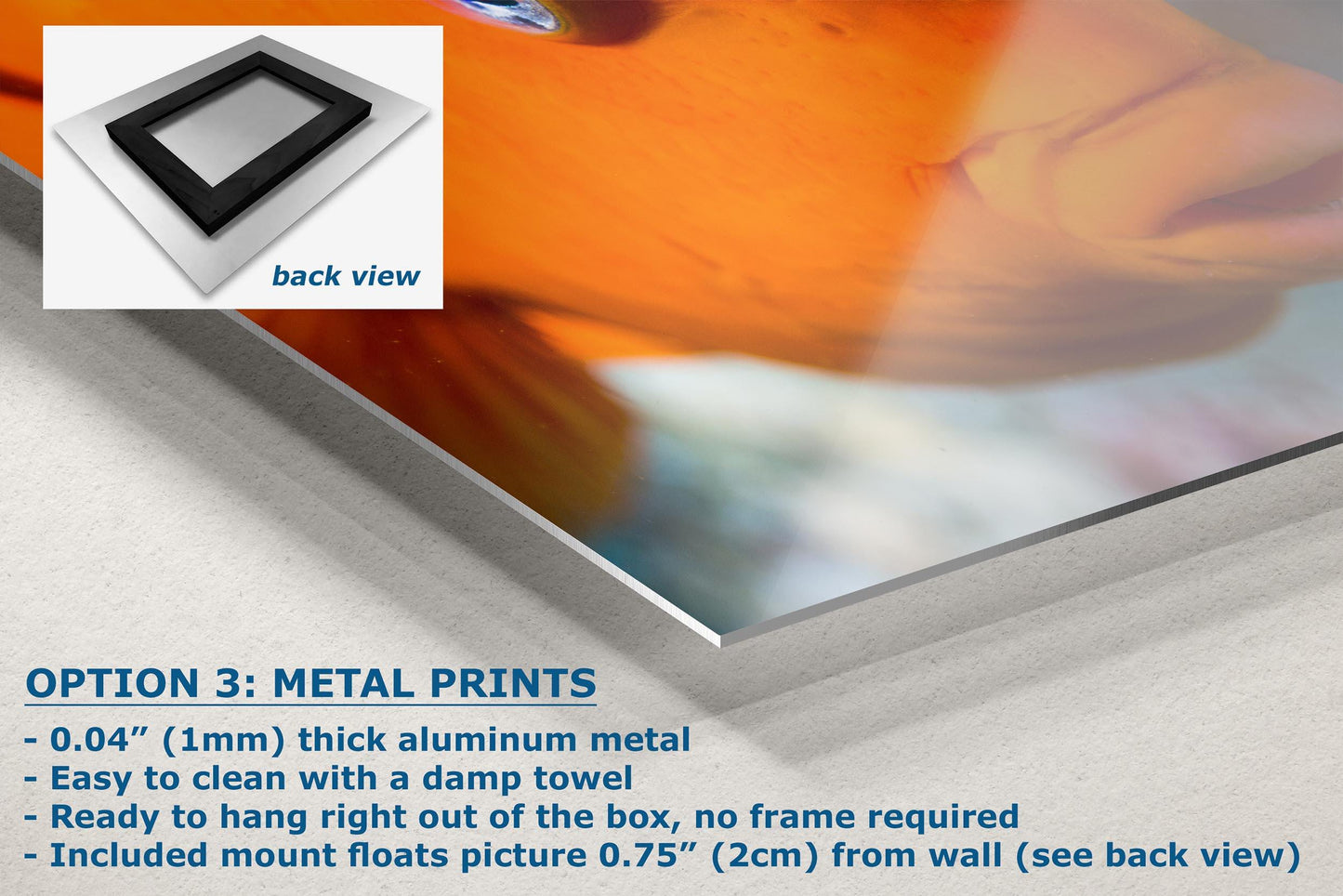 Garibaldi Fish Marine Biology Ocean Life, Underwater Scenery Nature Photo, California Marine Inhabitant, Nature Decor, Relaxation Artwork