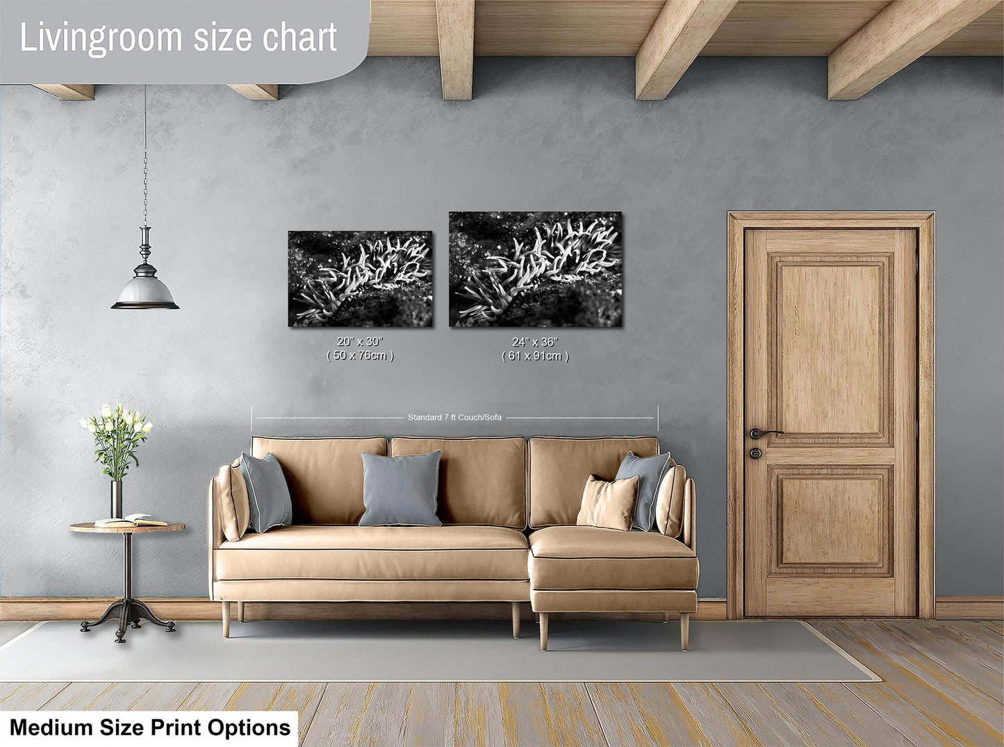 Sea Anemone Picture Ocean Life Underwater Scenery Nature Photo, Marine Biology Decor, Black and White Coral Reef Art for Marine Enthusiasts