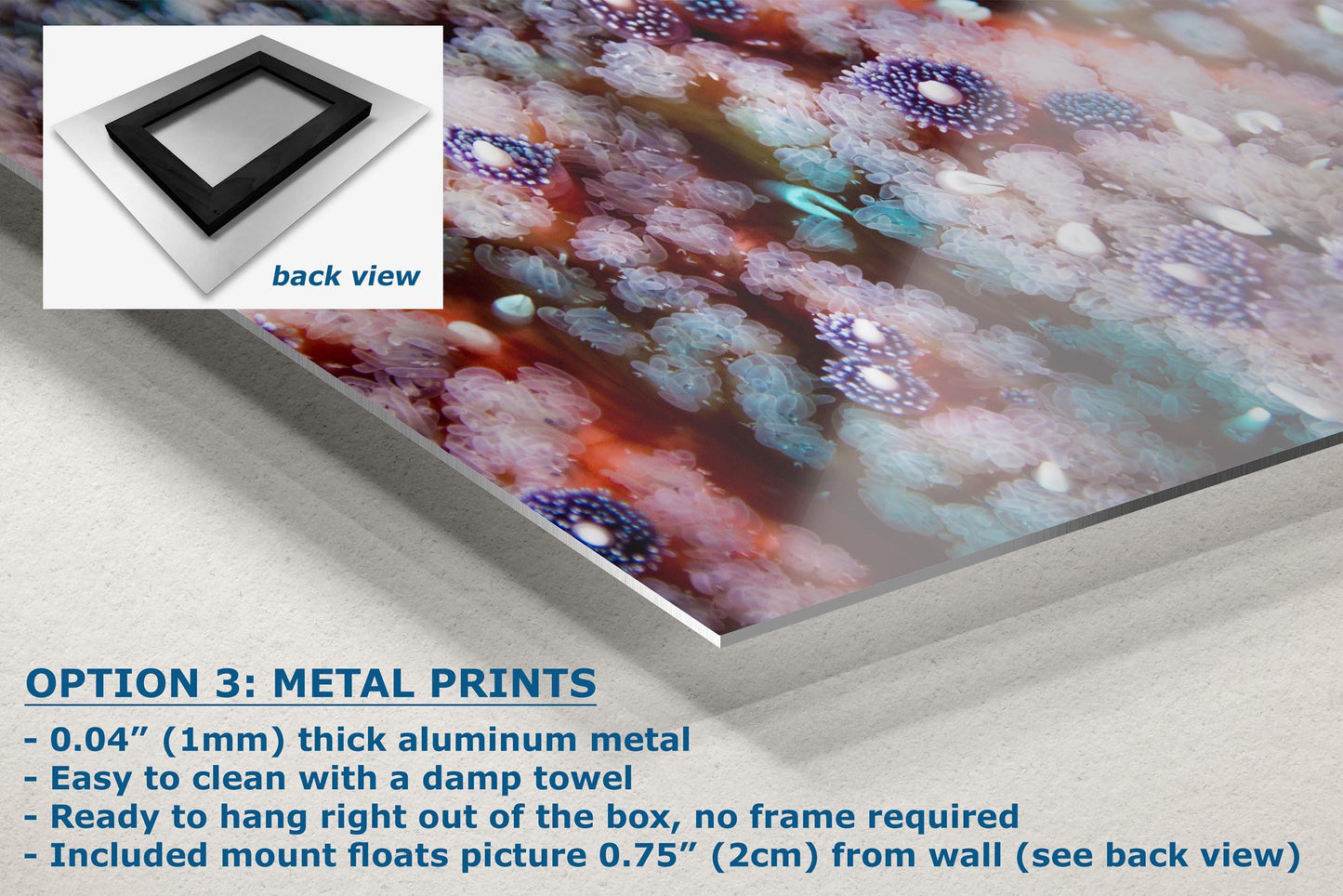 Ocean Life Starfish Photo, Marine Biology Underwater Scenery, Vibrant Coral Reef, Nature Photography for Office Decor, Relaxation Artwork