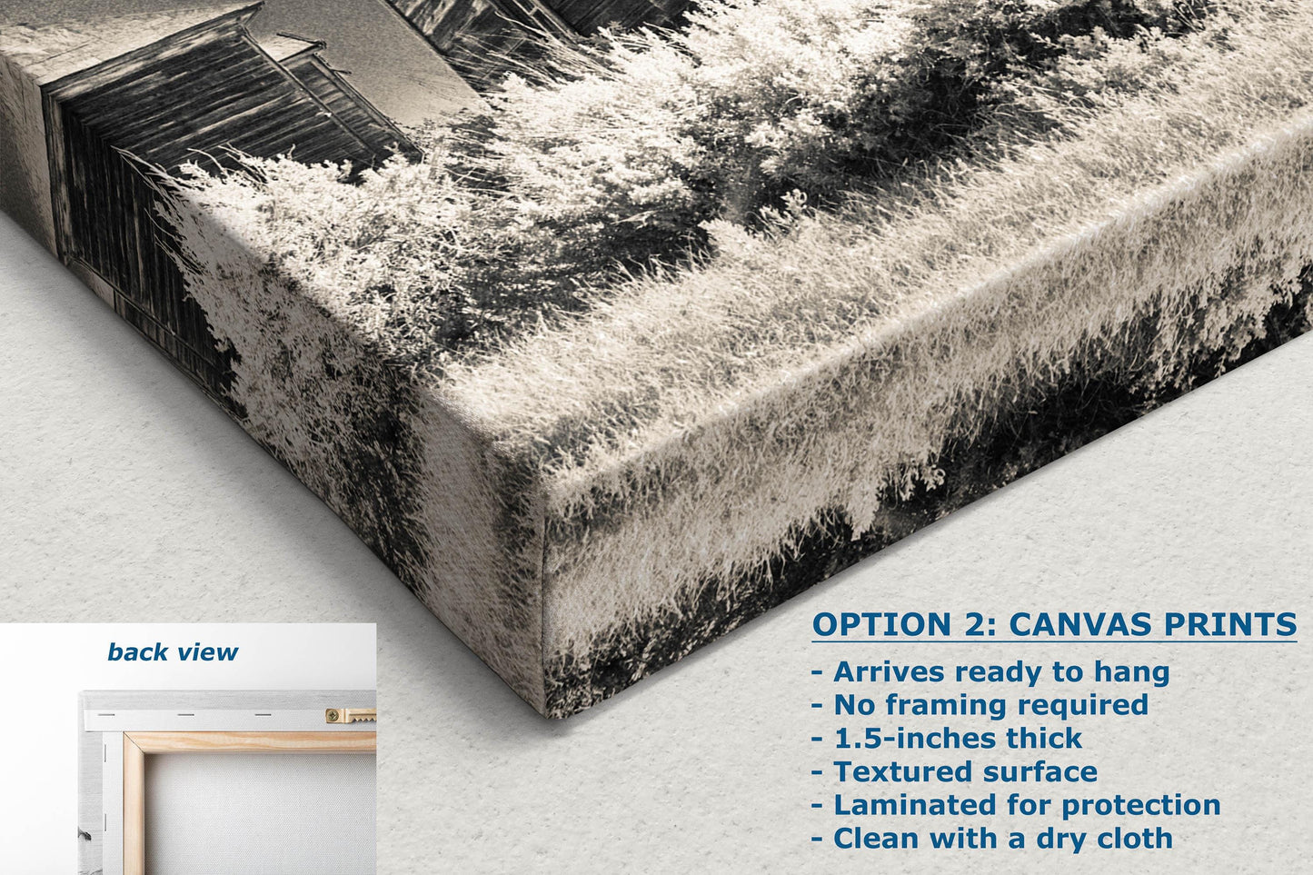 Bodie Ghost Town Western Decor | Abandoned Forgotten Towns | Black and White Historic California Photography