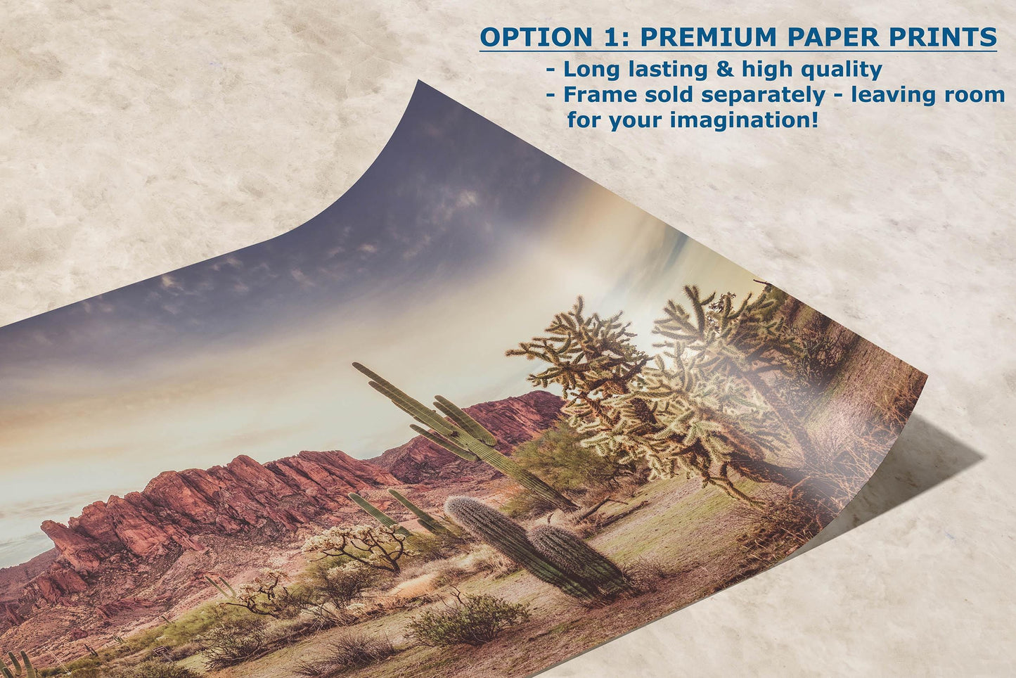 Arizona Desert Picture, Vintage Saguaro Cactus Artwork Nature Photo, Southwestern Wall Art of Superstition Mountains at Lost Dutchman State Park