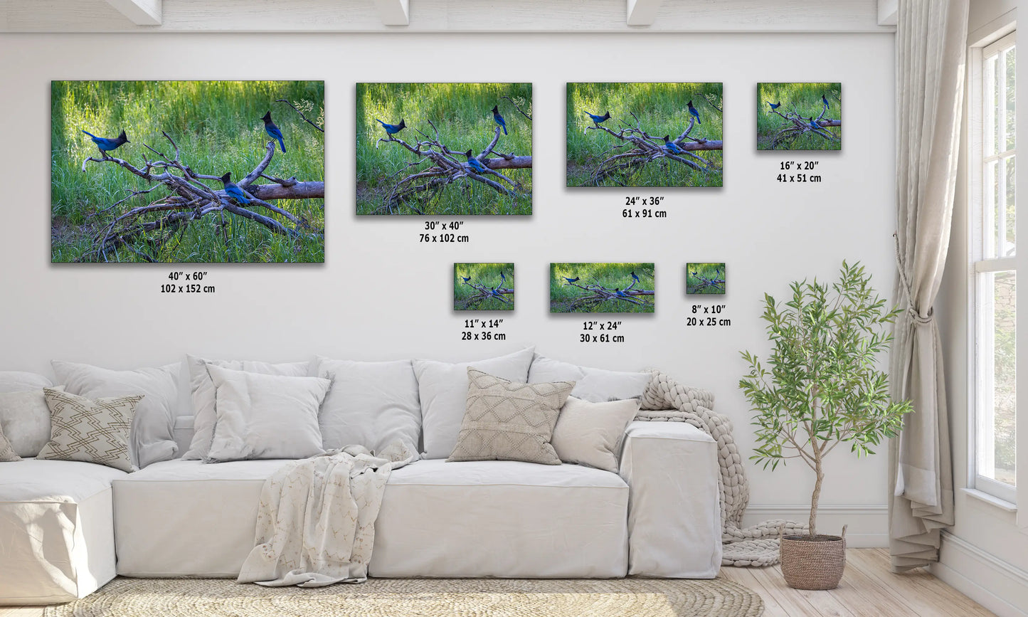 a living room with a white couch and paintings on the wall