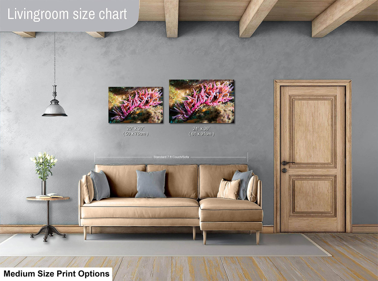 Sea Anemone Picture Ocean Life Underwater Scenery Nature Photo, Marine Biology Coral Reef Art, Vibrant Marine Wildlife Wall Decor