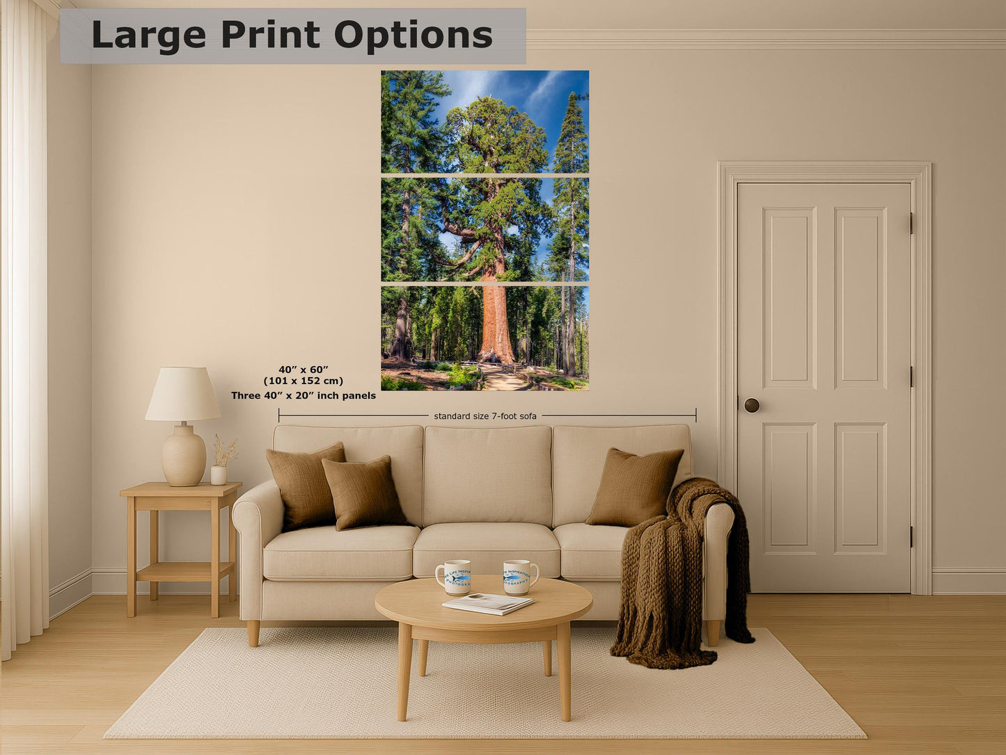 Giant Sequoia Tree Forest Picture Nature Photo, Yosemite Redwood Trees, Forest Bathing for Nature Lovers, House and Office