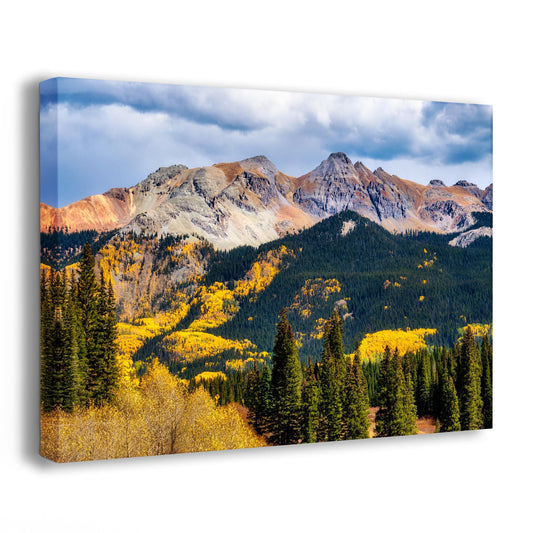 Colorado San Juan Mountain Picture, Fall Colors Yellow Aspen Trees Forest Picture Nature Photo for Relaxation Artwork, Meditation and House Decor