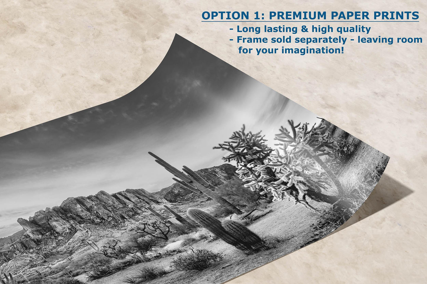 Arizona Desert Picture in Black and White, Saguaro Cactus Artwork Nature Photo, Southwestern Wall Art of Superstition Mountains at Lost Dutchman State Park