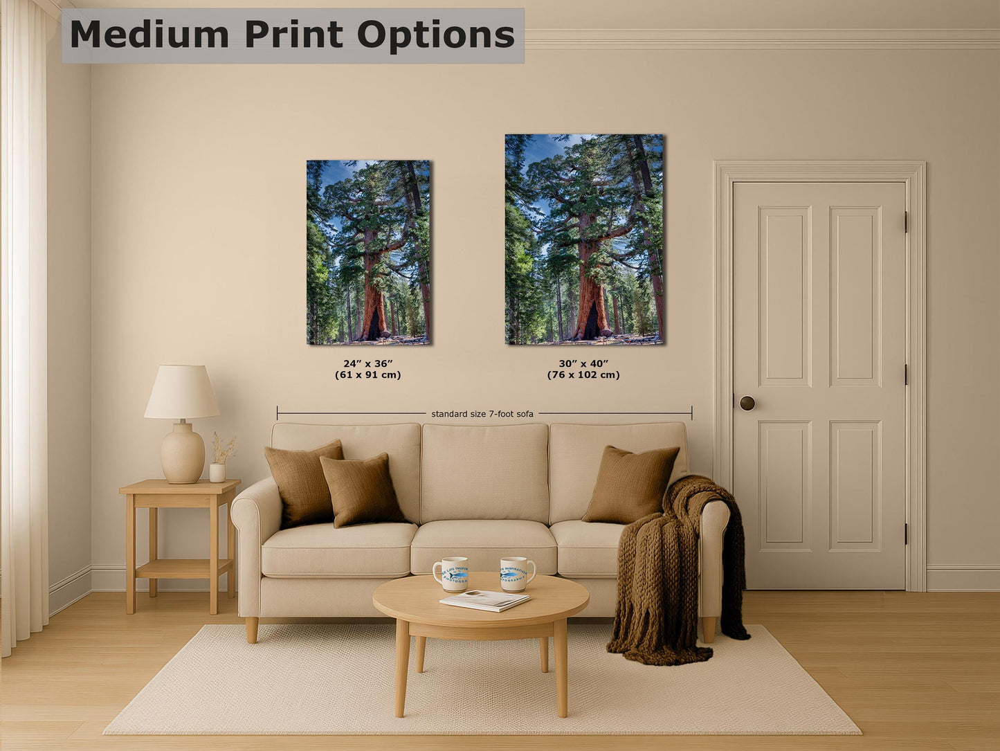 Giant Sequoia Tree Forest Picture Nature Photo, Yosemite Redwood Trees, Mariposa Grove Tree Hugger Decor, Forest Bathing for Relaxation