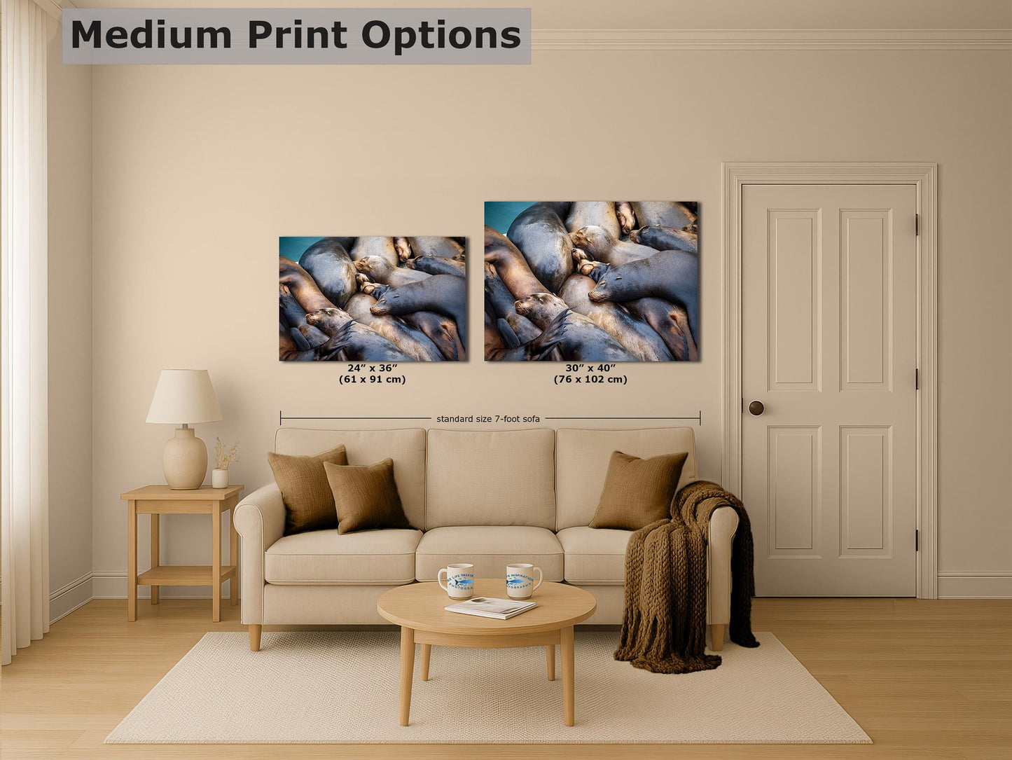 California Sea Lion Marine Mammal Wildlife Photography Wall Art - Ocean Animals Nursery Decor Coastal Home Artwork, Marine Biology Print