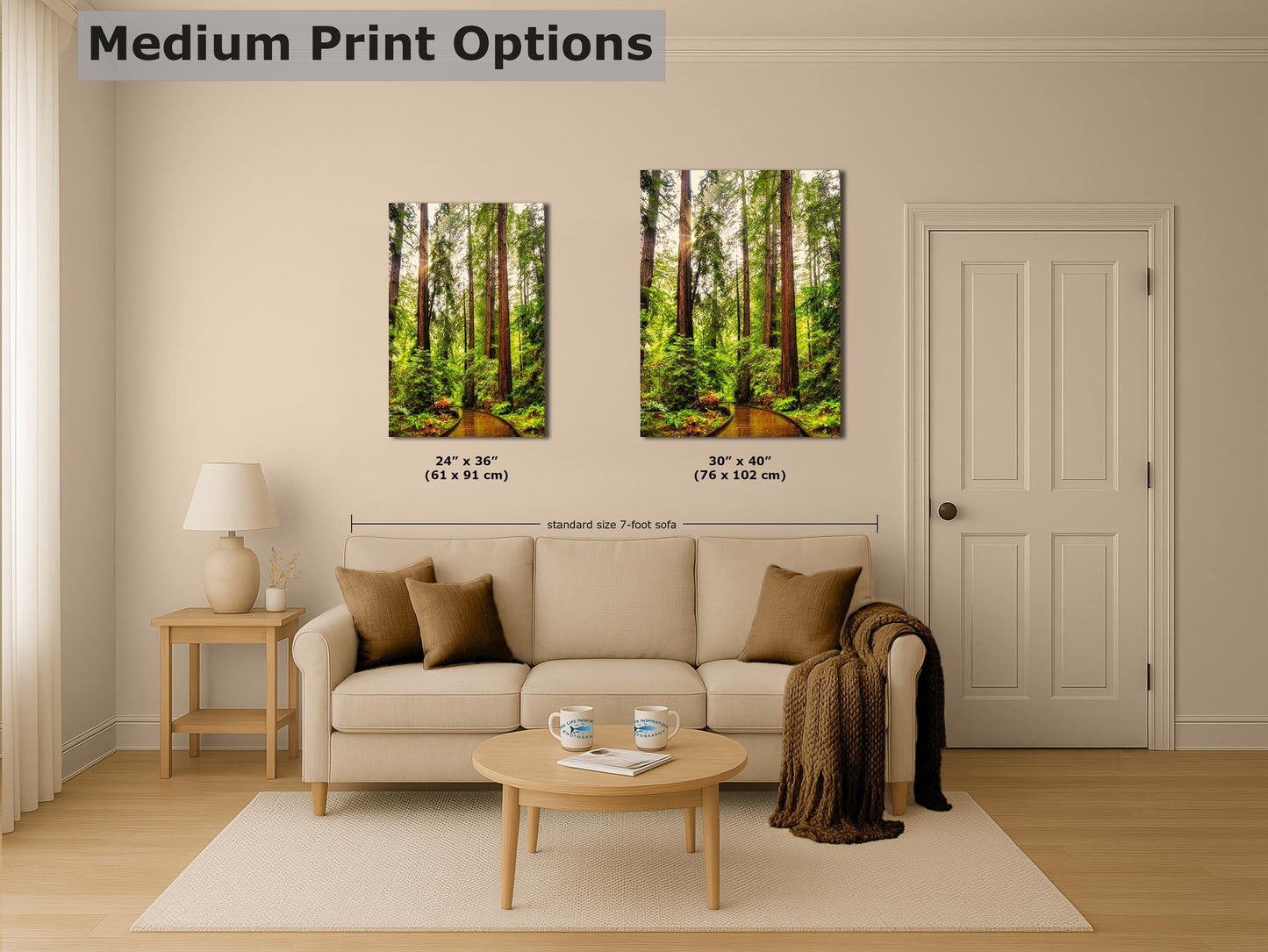 Redwood Trees Forest Picture Nature Photo, Forest Bathing House Decor, Relaxing Wall Art for Meditation, Home and Office