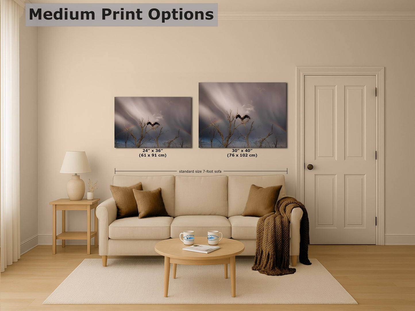Bald Eagle Picture Wildlife Photography Wall Art, Nature Photo, Bird Photography, Rustic Cabin Decor, Office or Dorm Room Wall Decor