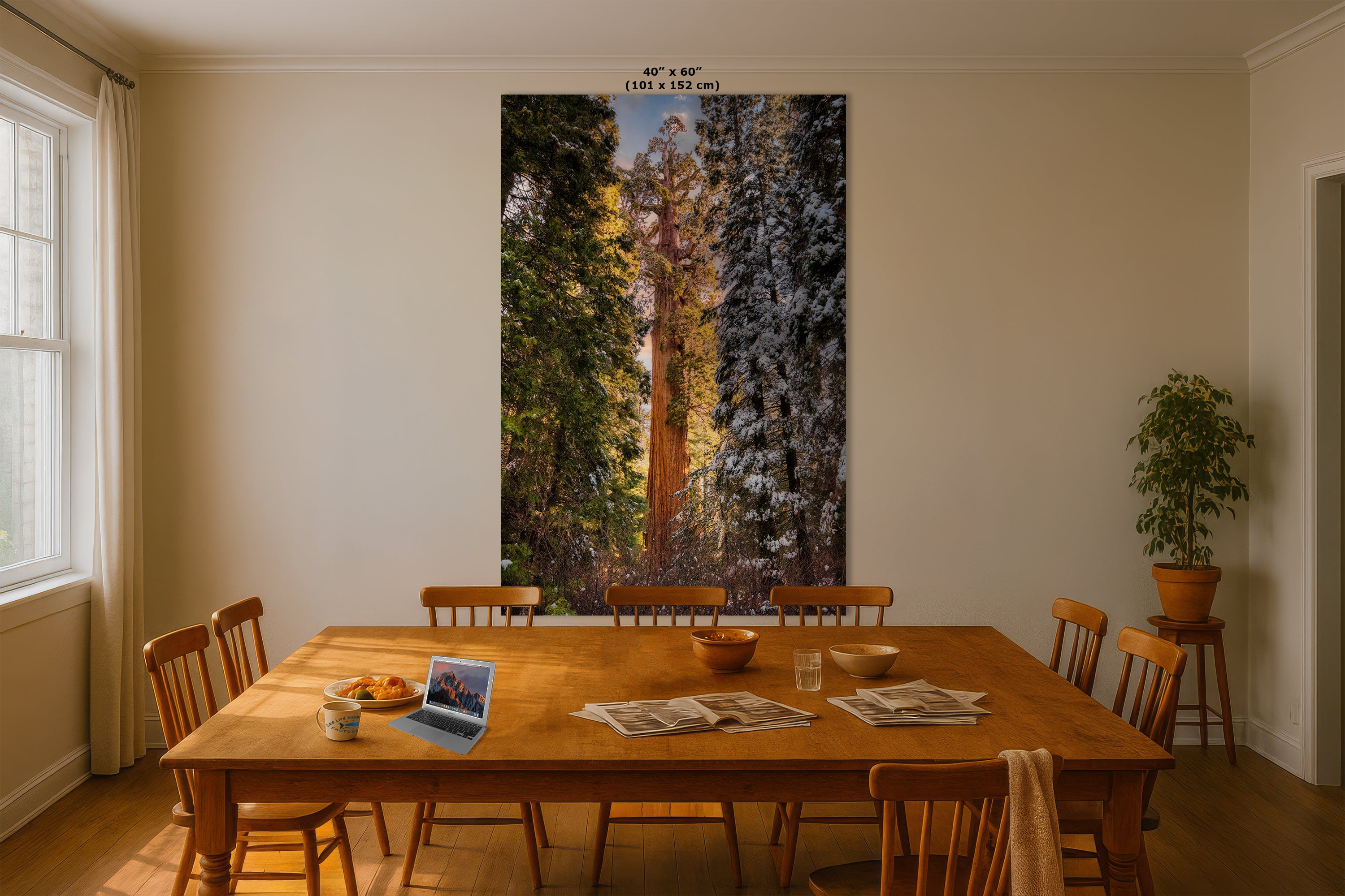 Giant Sequoia Tree Forest Picture Nature Photo, Redwood Tree Wall Art, Forest Bathing Decor, Bohemian Style Relaxation Artwork