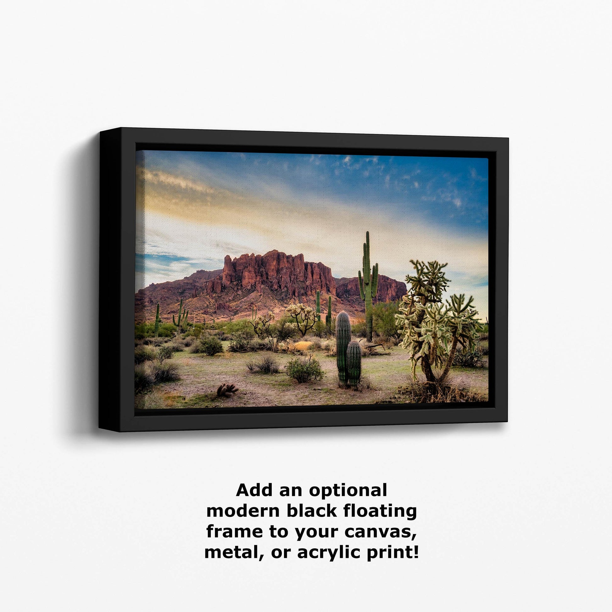 a desert scene with a cactus and mountains in the background