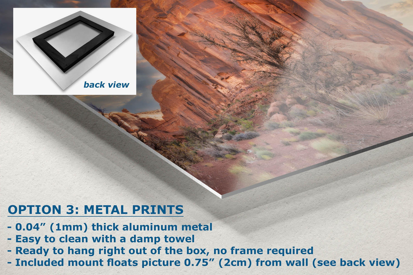 Monument Valley Arizona Desert Picture Cactus Nature Photo, Bohemian Style Relaxation Artwork for Meditation, Apartment, Office & House Décor