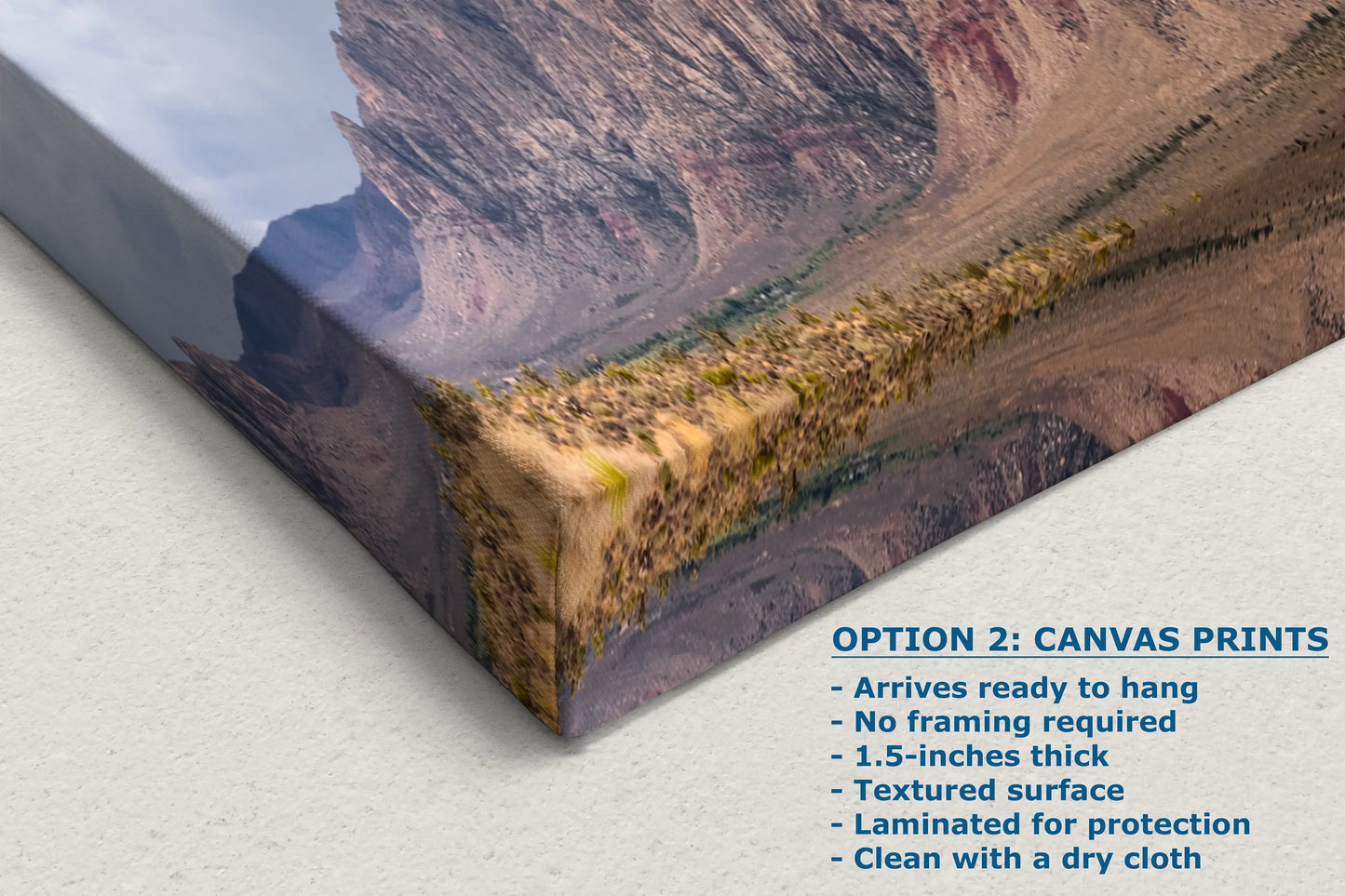 a picture of a mountain range with the caption option 2 canvas prints
