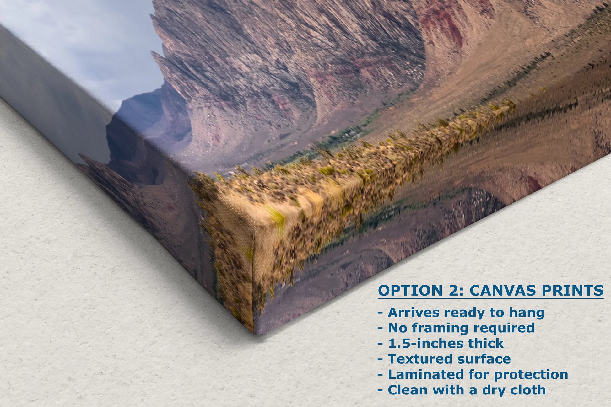 a picture of a mountain range with the caption option 2 canvas prints