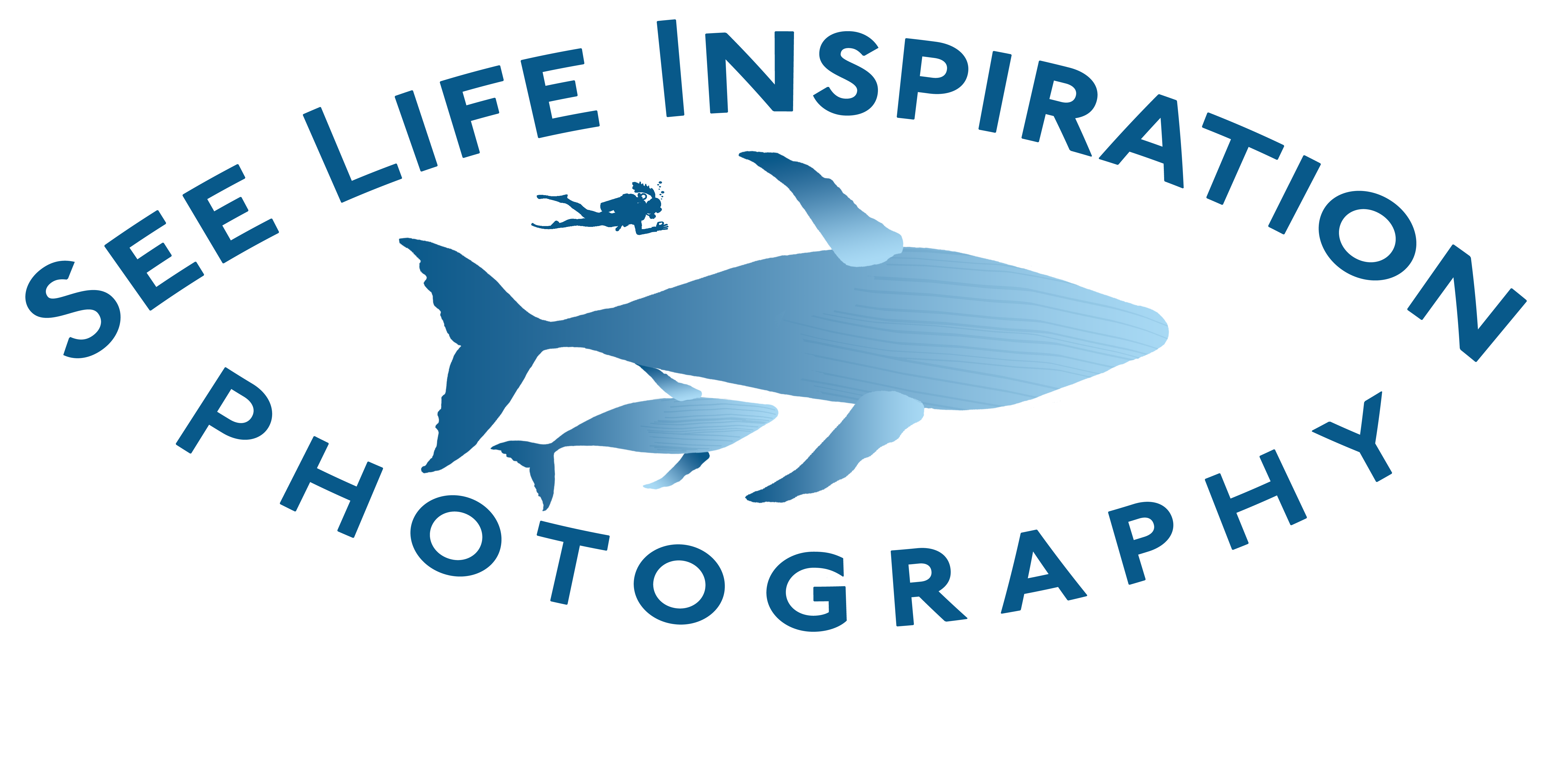logo of see life inspiration photography brand