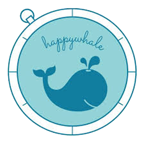 happy whale logo