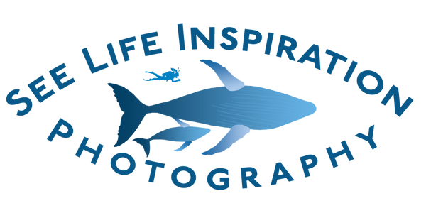 See Life Inspiration Photography logo