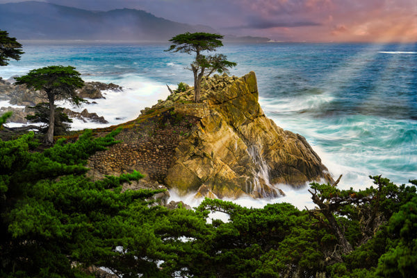Captivating photograph of the iconic Lone Cypress standing resilient on a rocky outcrop, surrounded by lush greenery and turbulent sea waves, under a dramatic sky in Monterey Bay, California.