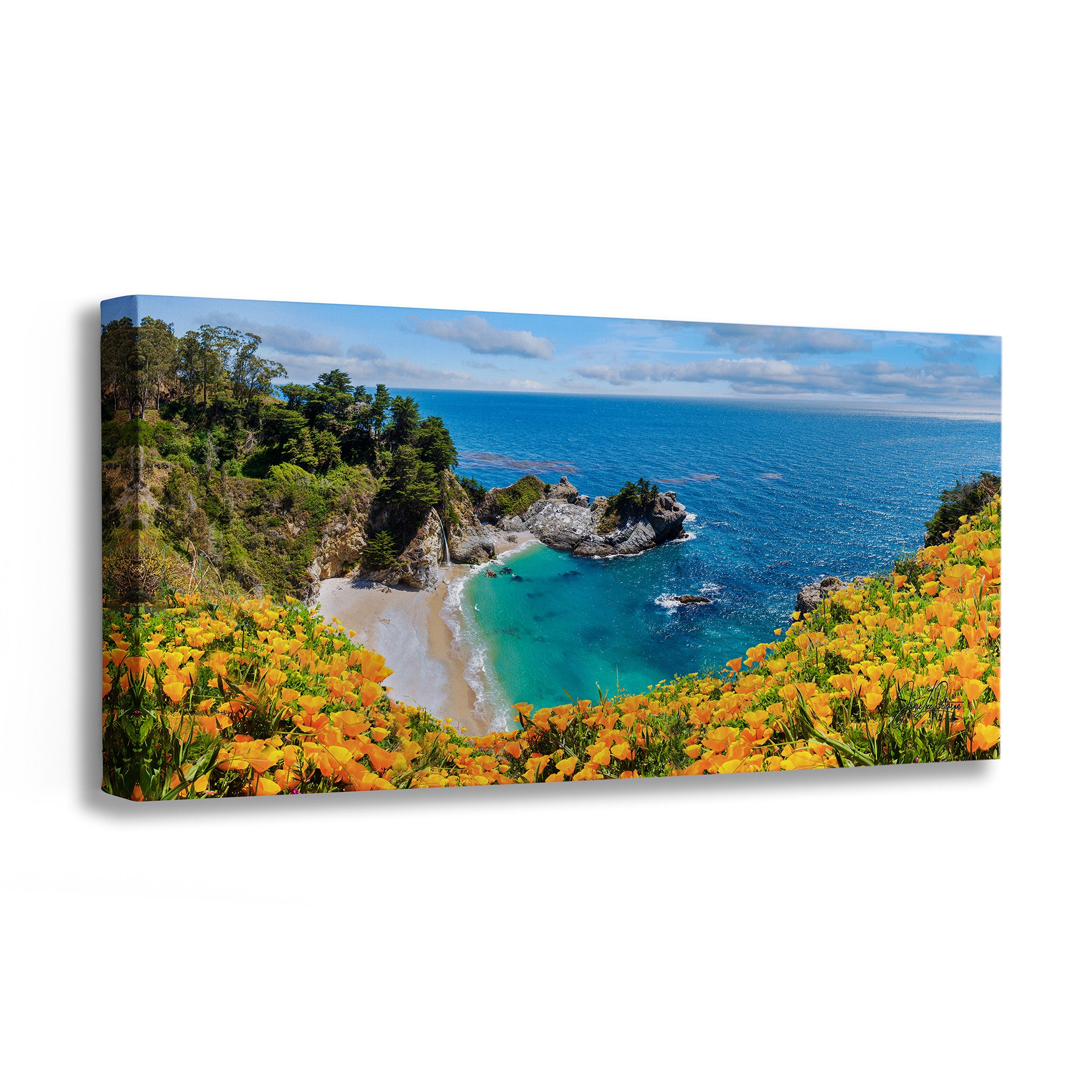 Canvas print of a coastal landscape with blue ocean, rocky cliffs, and orange flowers.