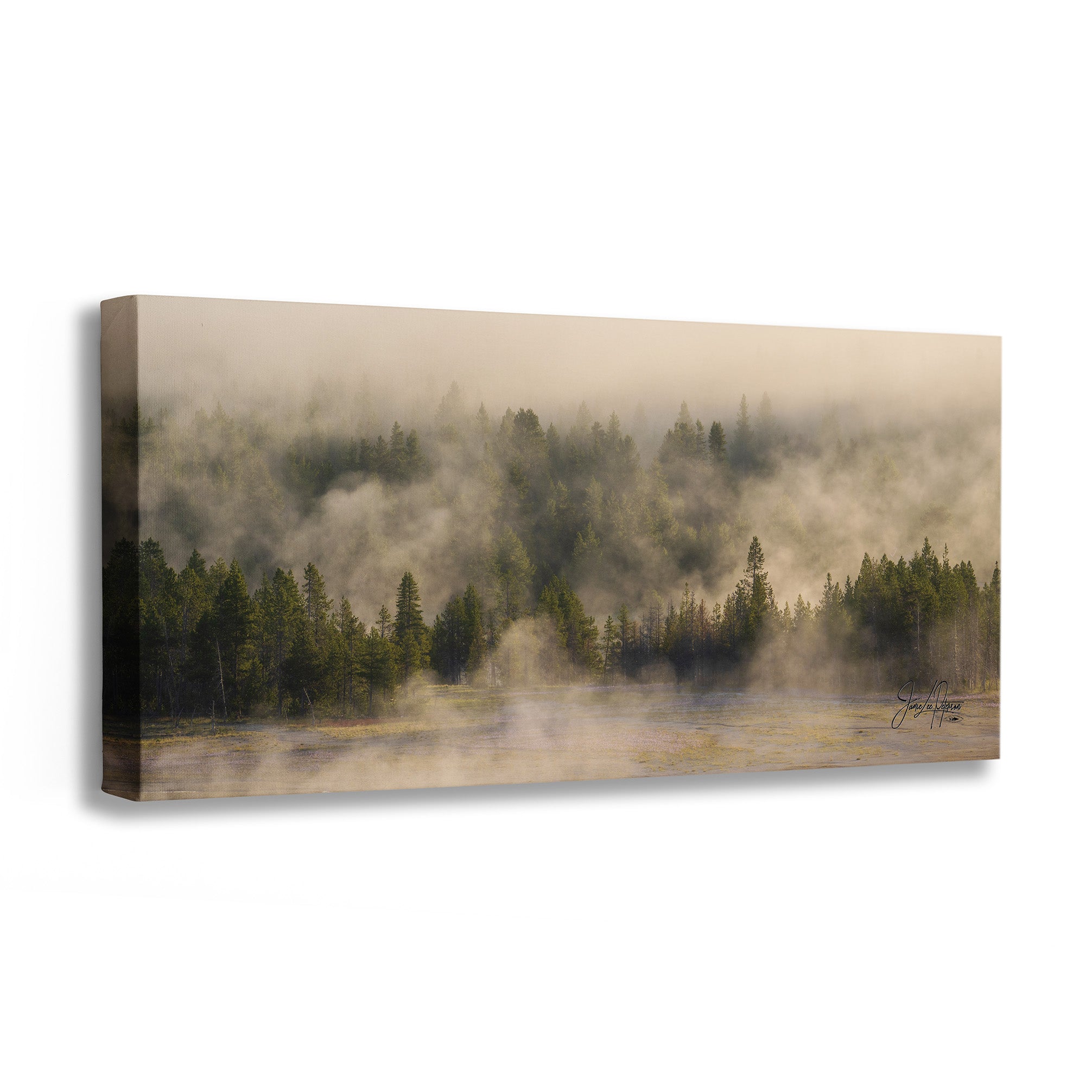 A rectangular canvas wall art print showing a misty forest landscape with evergreen trees and low fog, photographed against a plain white background.