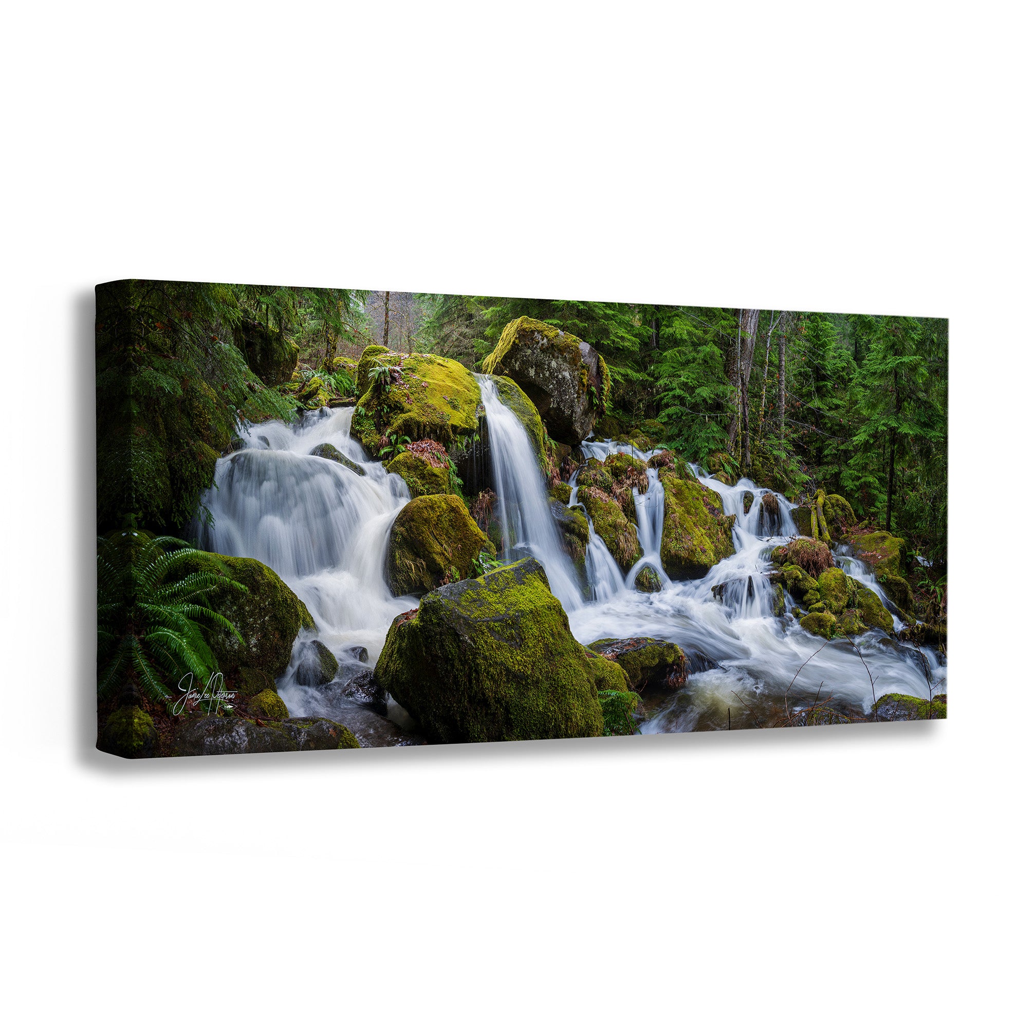 An Oregon cascading waterfall print of a waterfall in a forest with greenery and rocks.