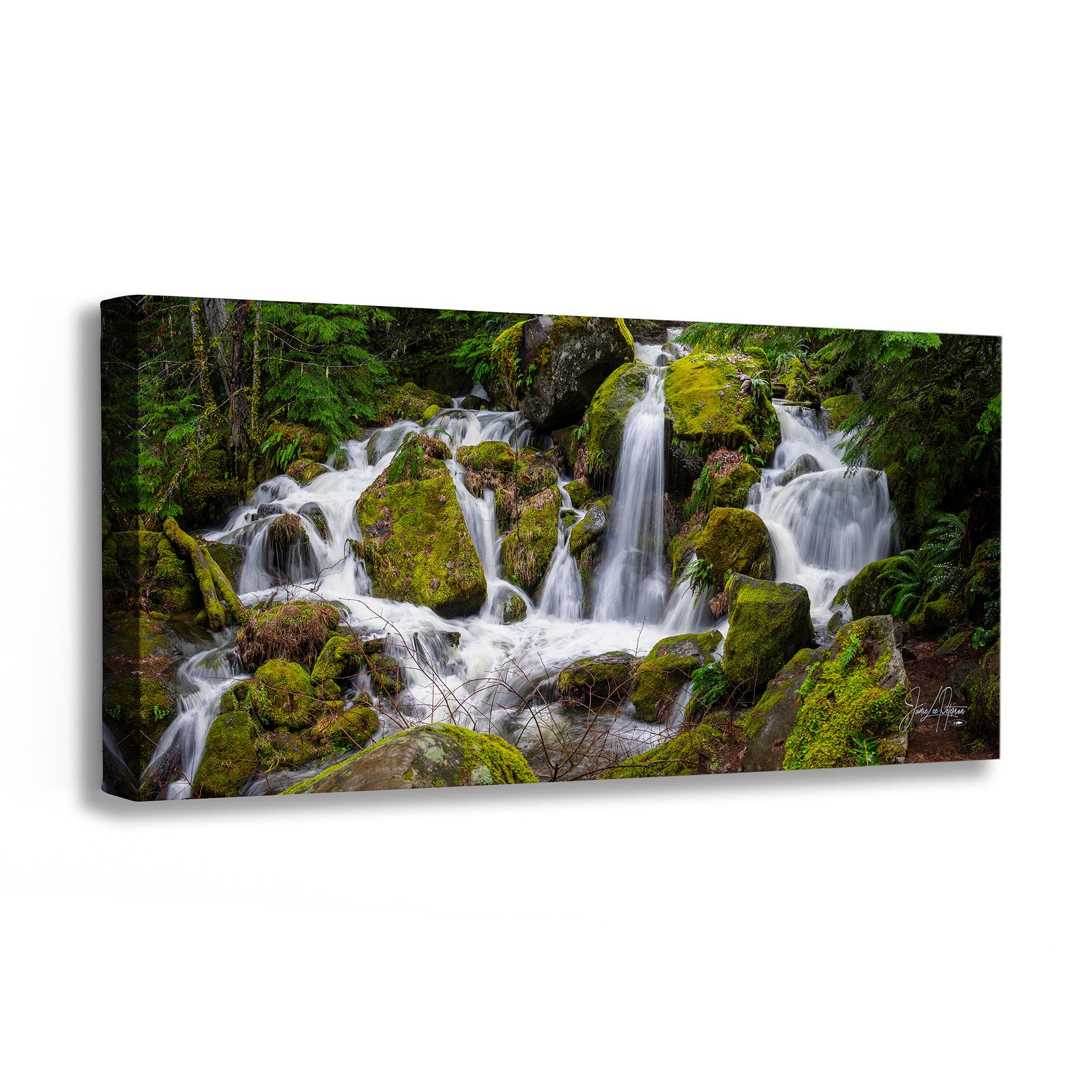 An Oregon waterfall panorama print showing a mossy waterfall cascading over mossy rocks in a forest, photographed against a plain white background.