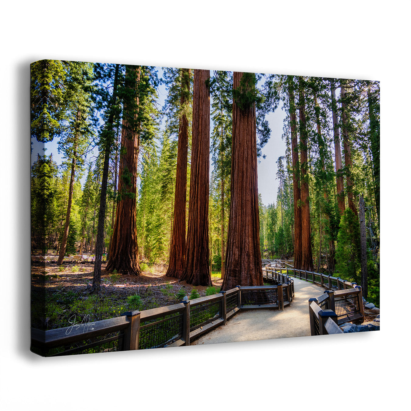 A Giant Sequoia Grove wall art print showing a forest scene with giant redwood trees and a wooden boardwalk, displayed against a plain white background.