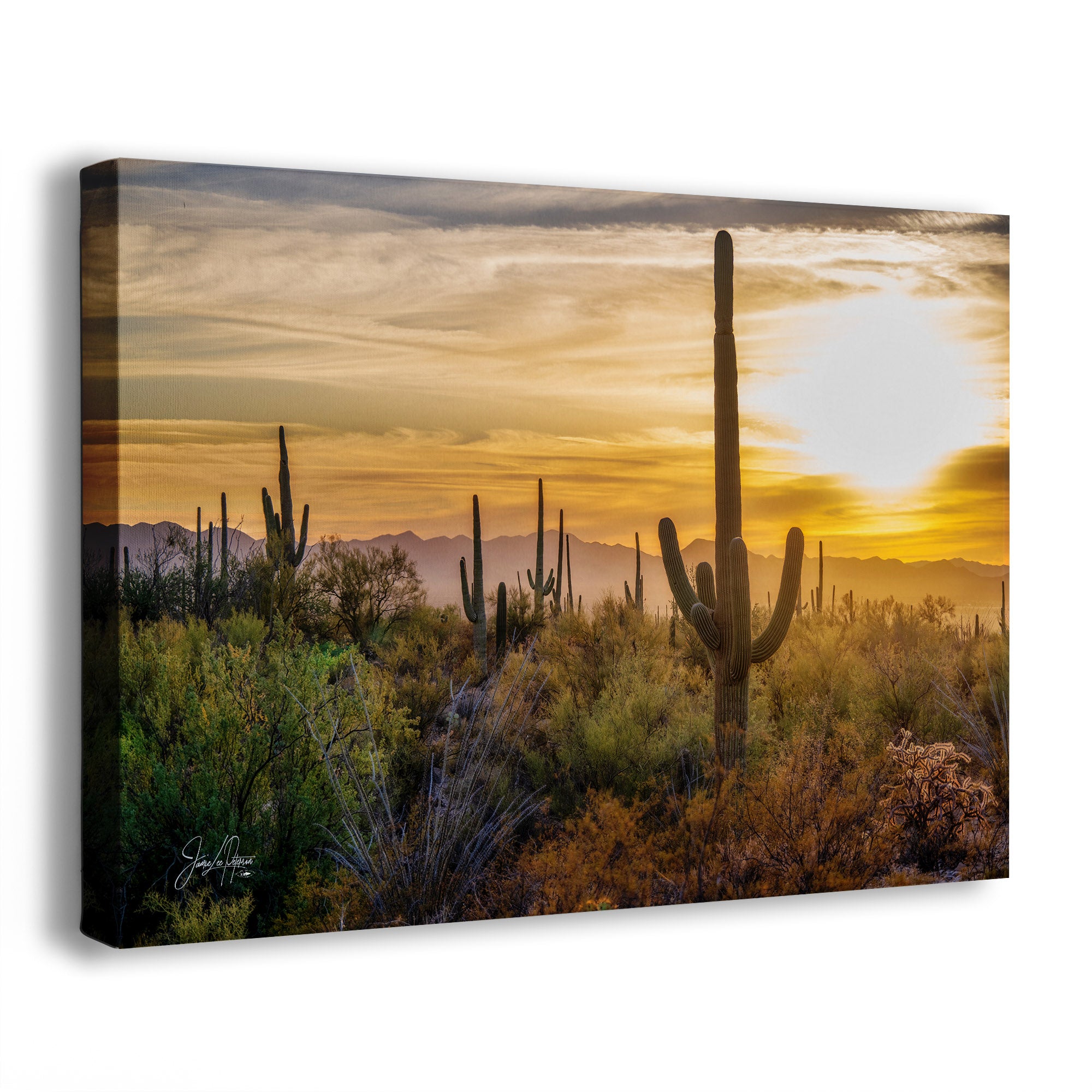 A canvas wall art print depicting a desert landscape at sunset, featuring saguaro cacti, shrubs, distant mountains, and a glowing sun. The canvas is photographed at a slight angle on a clean white background.