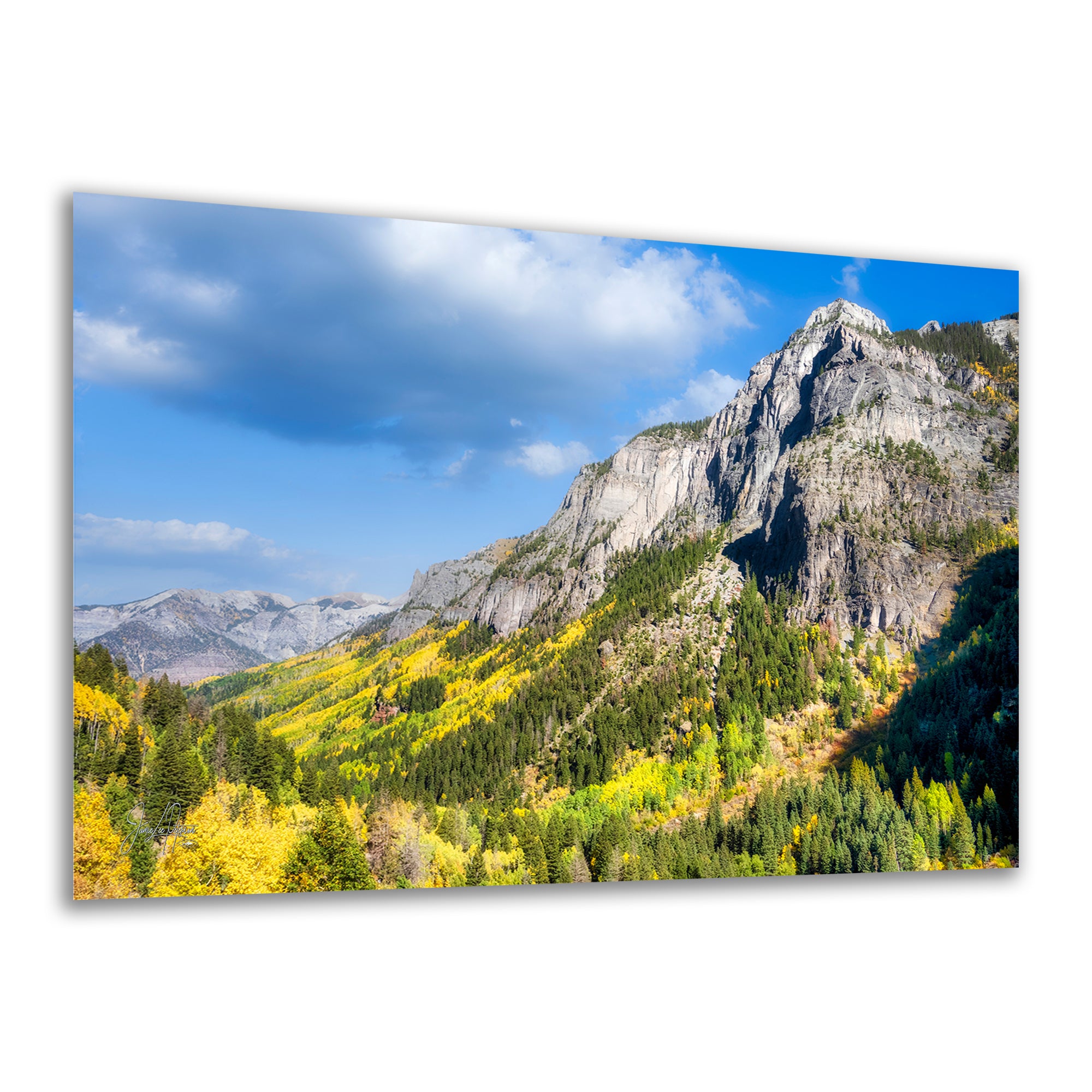 Colorado San Juan Mountain Picture, Fall Colors Aspen Trees Forest Picture Nature Photo for Relaxation Artwork, Meditation and House Decor