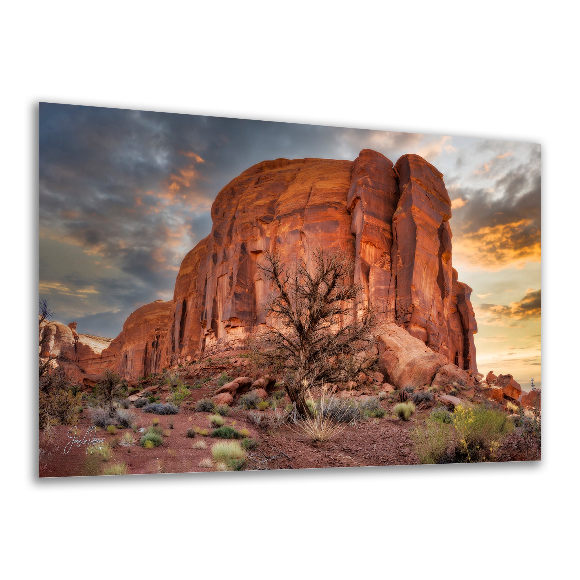 Monument Valley Arizona Desert Picture Cactus Nature Photo, Bohemian Style Relaxation Artwork for Meditation, Apartment, Office & House Decor