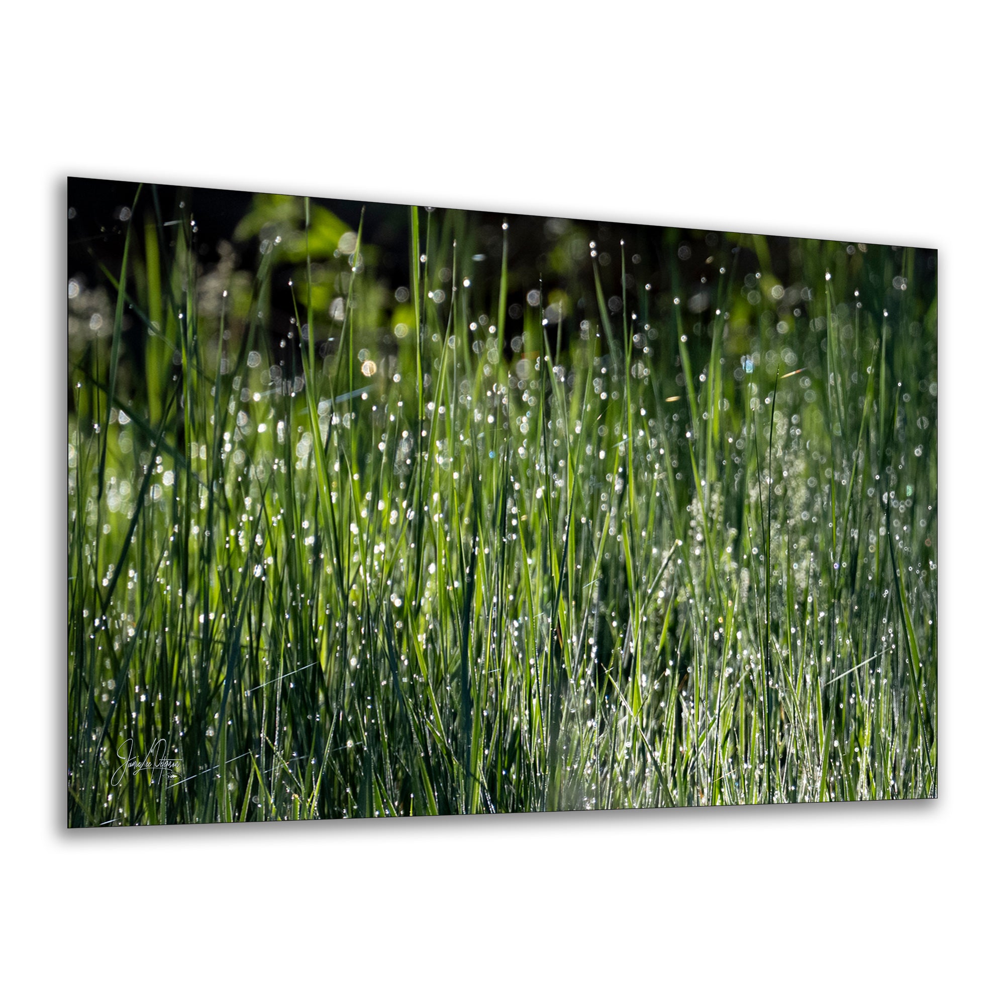 Green Grass Impressionist Art, Nature Photo Relaxation Artwork, Forest Picture Wall Decor for Bohemian Style, Office, Meditation & Dorm Room