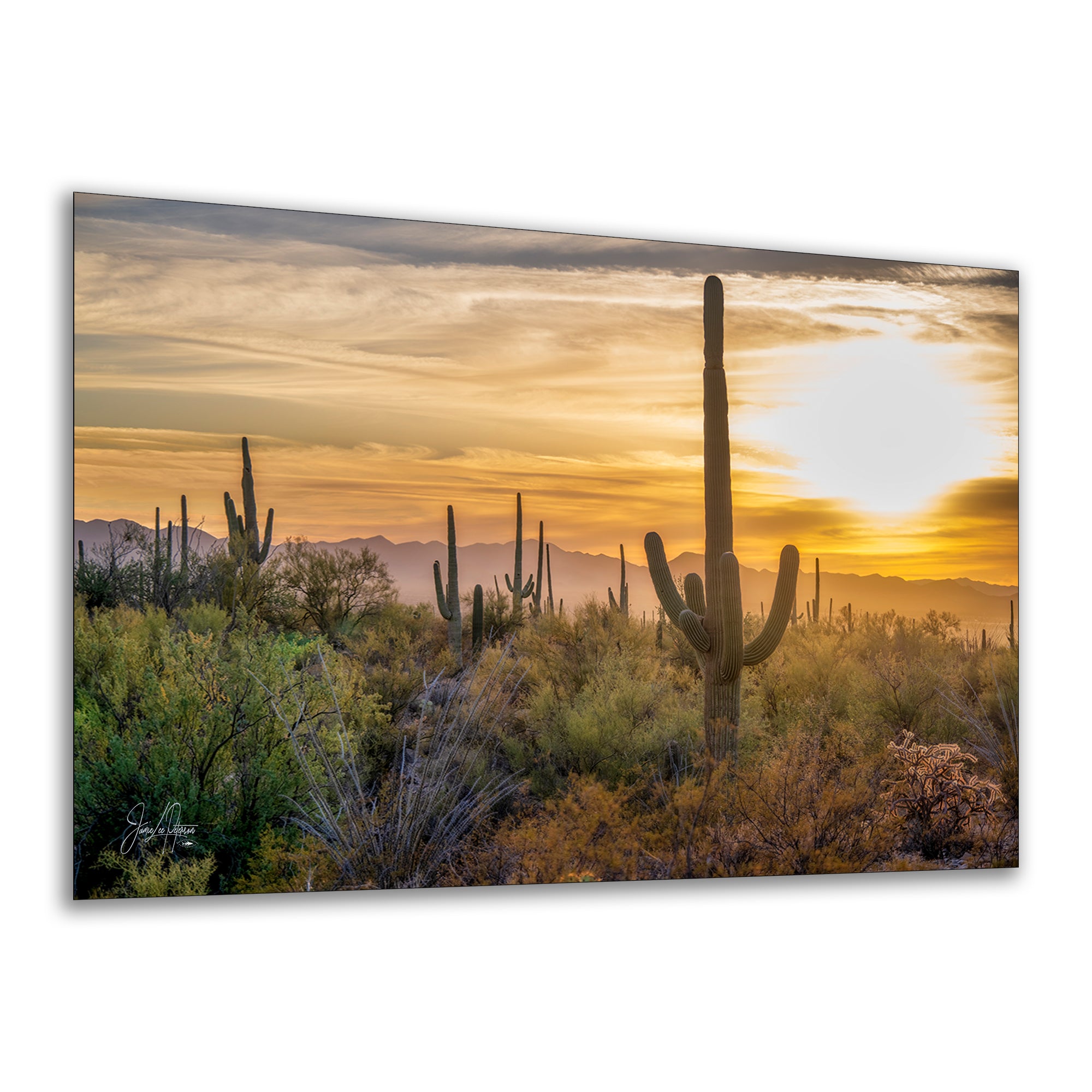 Saguaro National Park Arizona Desert Picture Sunset Nature Photo, Bohemian Style Relaxation Artwork, Southwestern Sonoran Desert House Decor