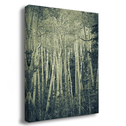 Aspen Tree Forest Picture Nature Photo, Forest Bathing Relaxation Artwork, Rustic Wall Art for Bedroom, Office, & House Decor