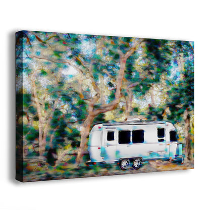 Airstream with Coast Live Oak Camping Decor
