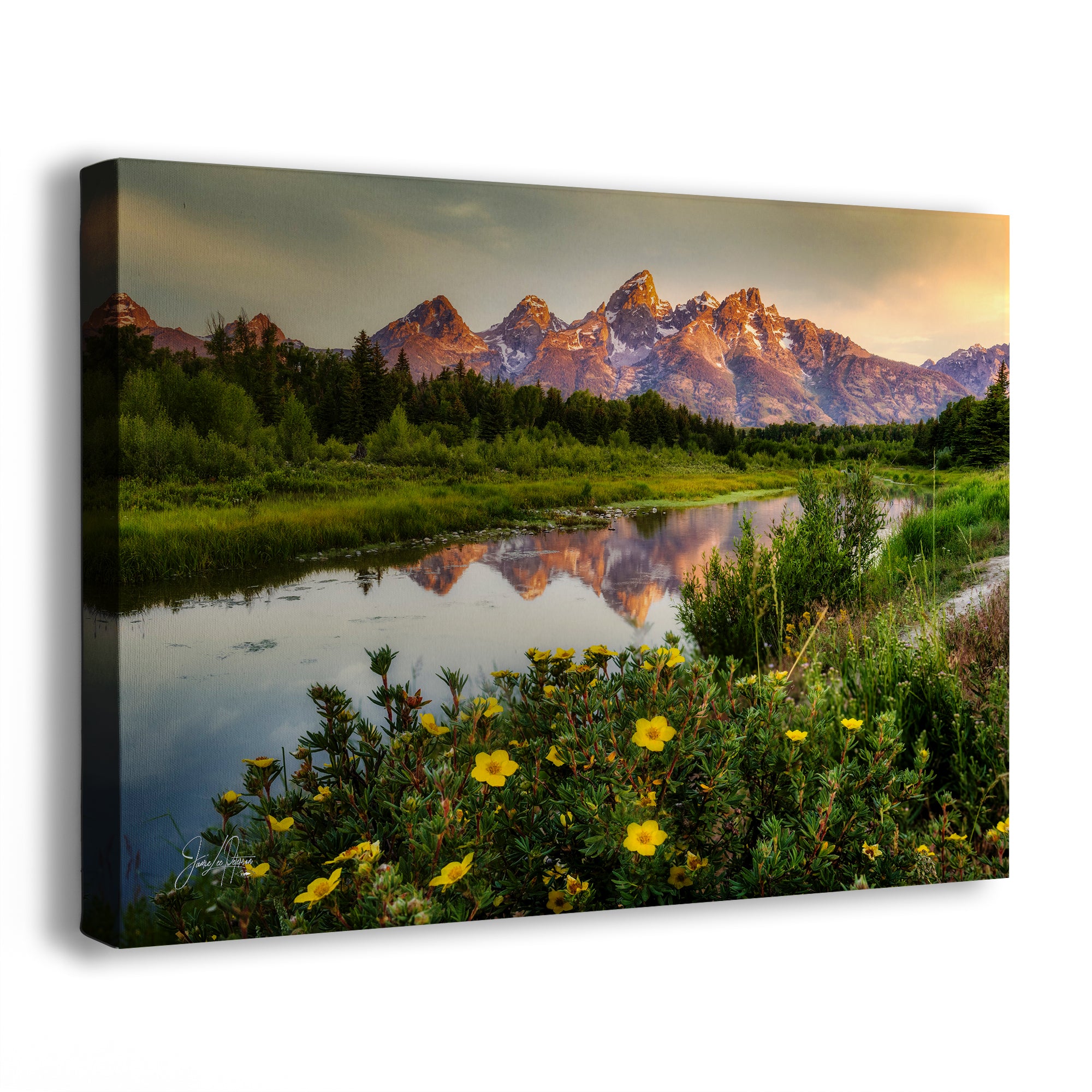 Grand Teton National Park Mountain Picture, Schwabacher Landing Nature Photo for Bohemian Decor and Meditation Artwork