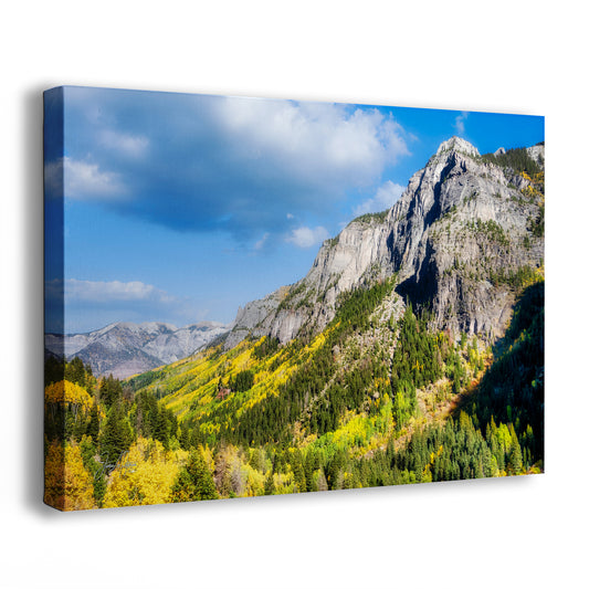 Colorado San Juan Mountain Picture, Fall Colors Aspen Trees Forest Picture Nature Photo for Relaxation Artwork, Meditation and House Decor