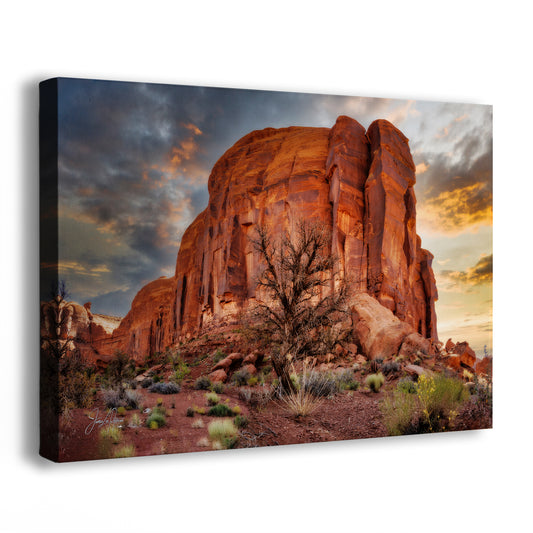 Monument Valley Arizona Desert Picture Cactus Nature Photo, Bohemian Style Relaxation Artwork for Meditation, Apartment, Office & House Decor