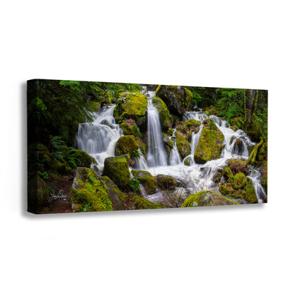 Oregon Pacific Northwest Waterfall Picture Nature Photo Relaxation Artwork in Bohemian Style for Meditation, Office, Apartment, House Decor