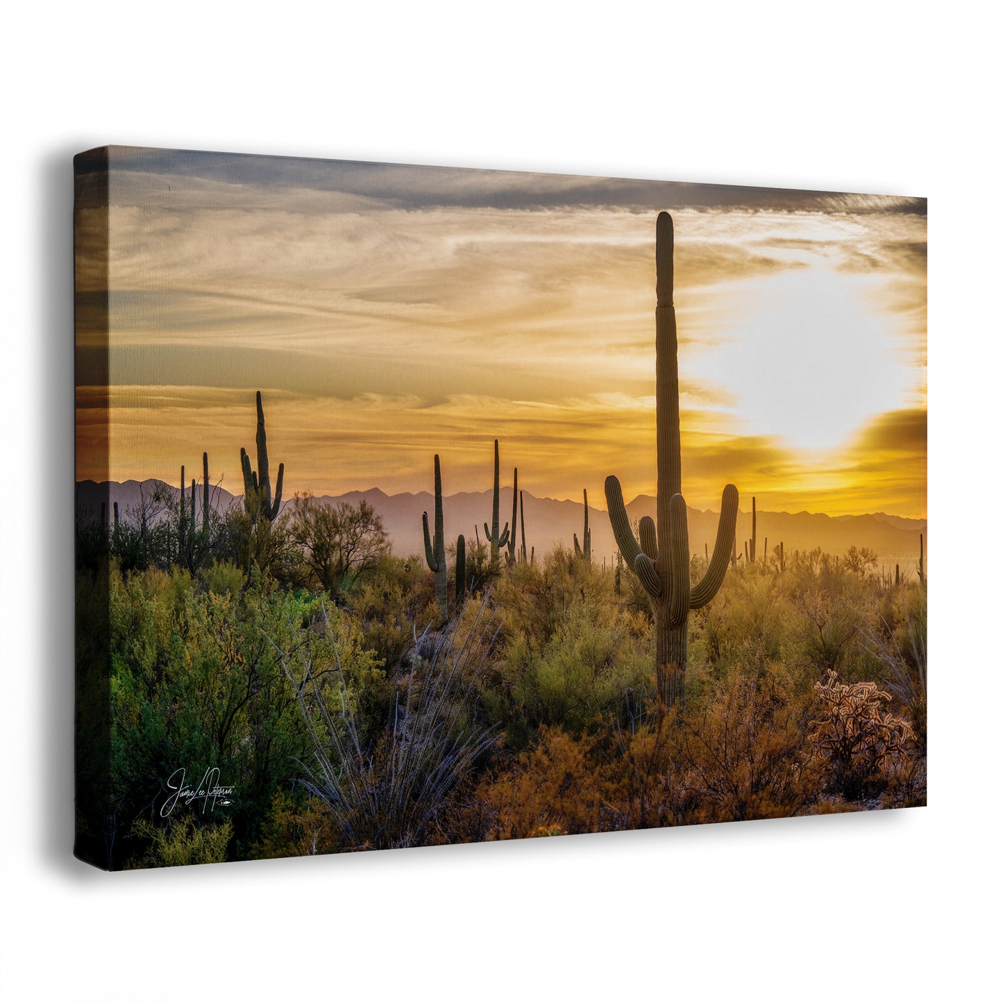 Saguaro National Park Arizona Desert Picture Sunset Nature Photo, Bohemian Style Relaxation Artwork, Southwestern Sonoran Desert House Decor