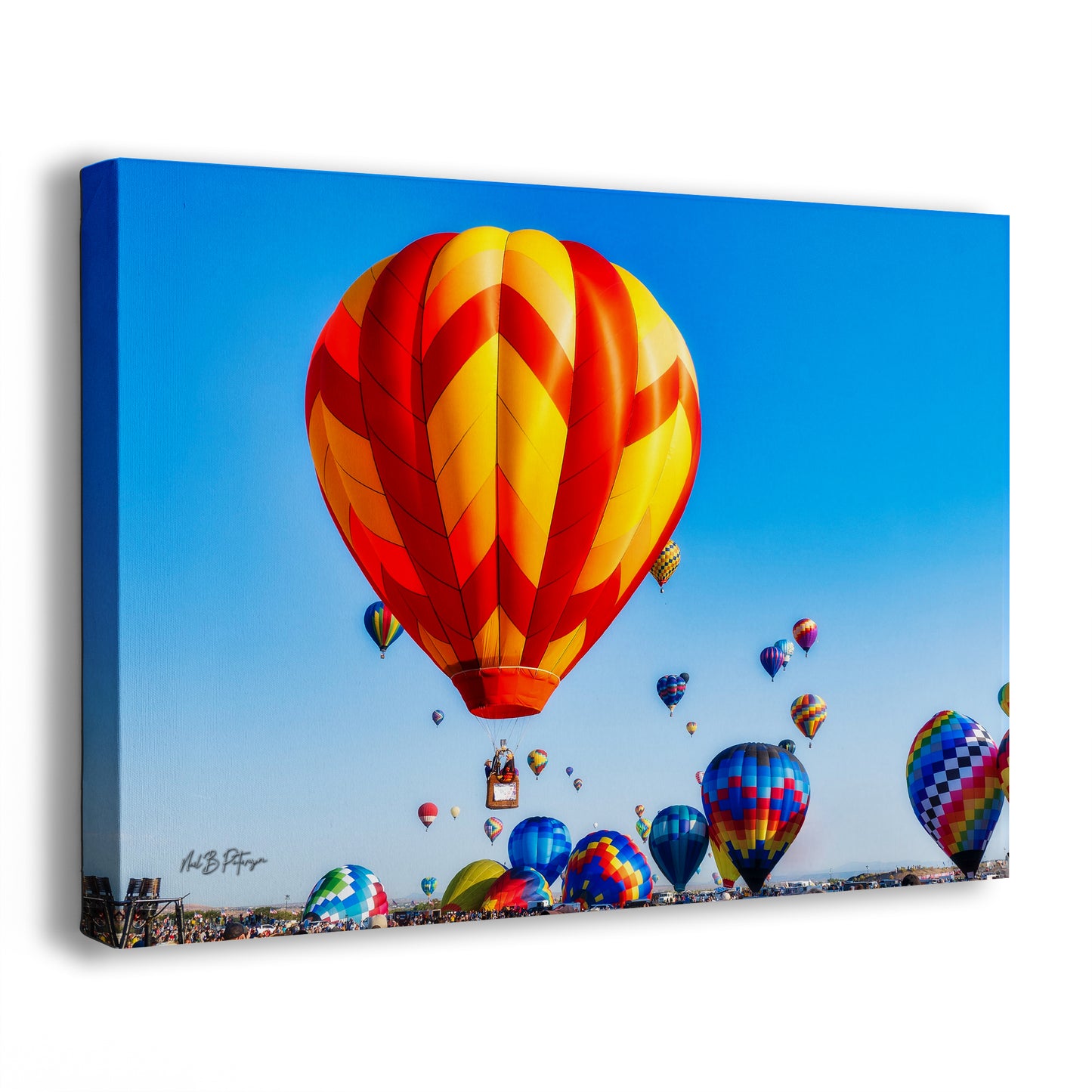 Hot Air Balloon Festival Mass Ascension | Albuquerque New Mexico Balloon Fiesta Wall Art | Office, Cubicle & House Decor