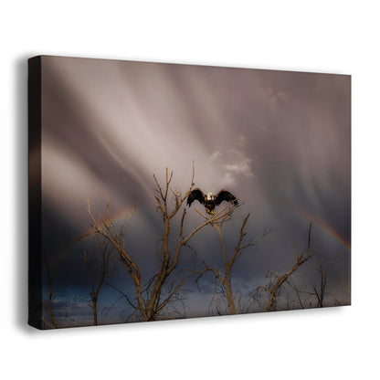 Bald Eagle Picture Wildlife Photography Wall Art, Nature Photo, Bird Photography, Rustic Cabin Decor, Office or Dorm Room Wall Decor