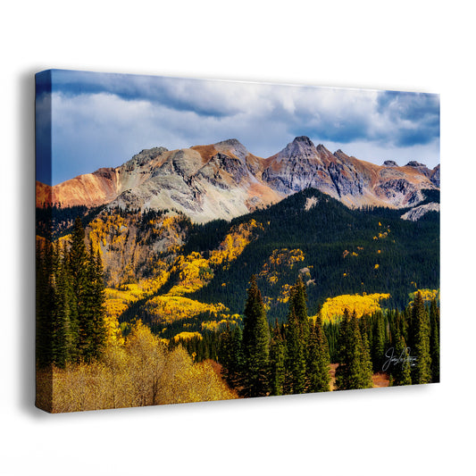 Colorado San Juan Mountain Picture, Fall Colors Yellow Aspen Trees Forest Picture Nature Photo for Relaxation Artwork, Meditation and House Decor