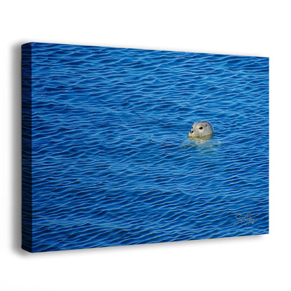 Seal Print Marine Mammal Wildlife Photography, Ocean Picture Relaxation Artwork Nature Photo