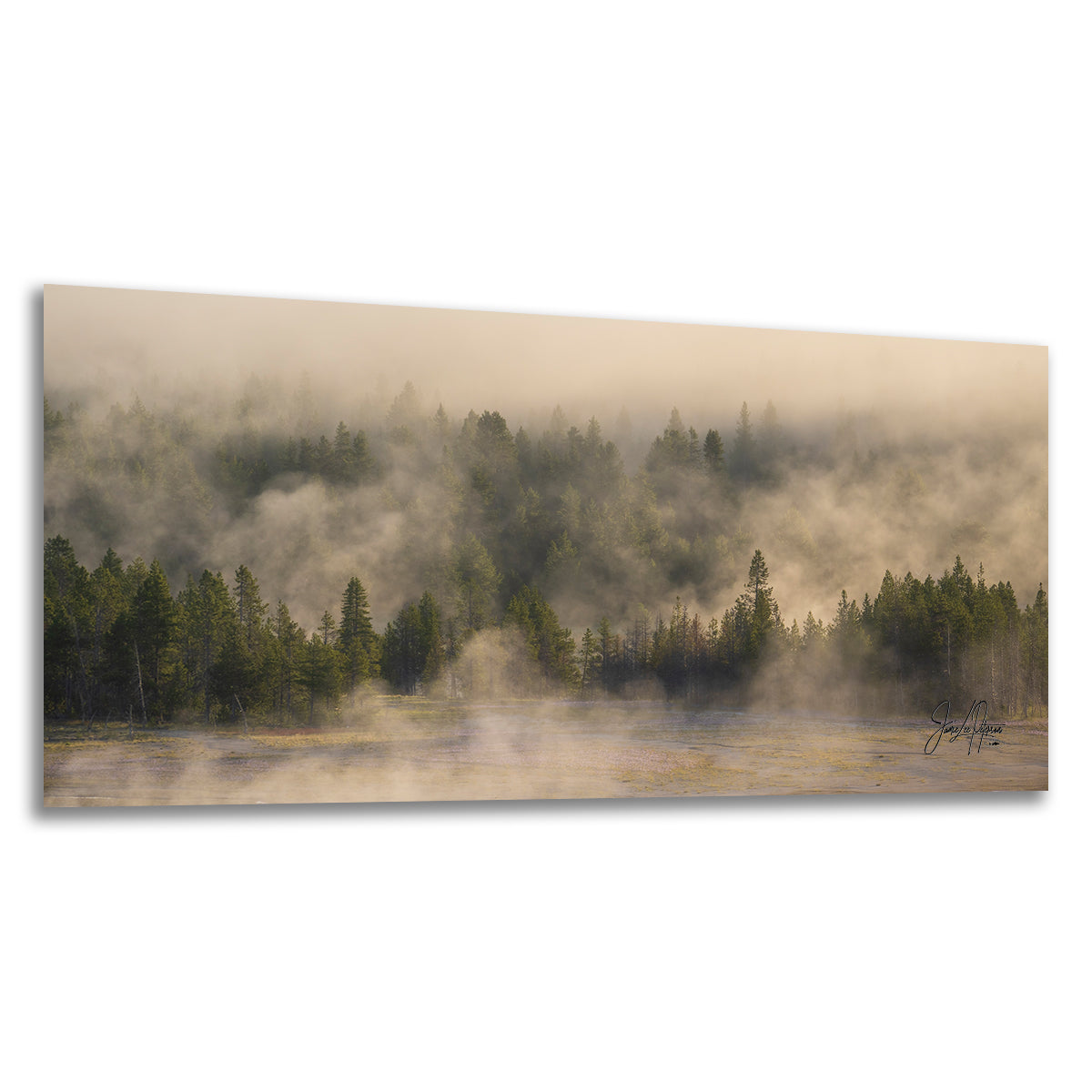 Foggy Forest Picture Forest Bathing Nature Photo, Yellowstone Misty Trees Wall Art, Cabin Decor, Canvas, Paper, Metal Prints