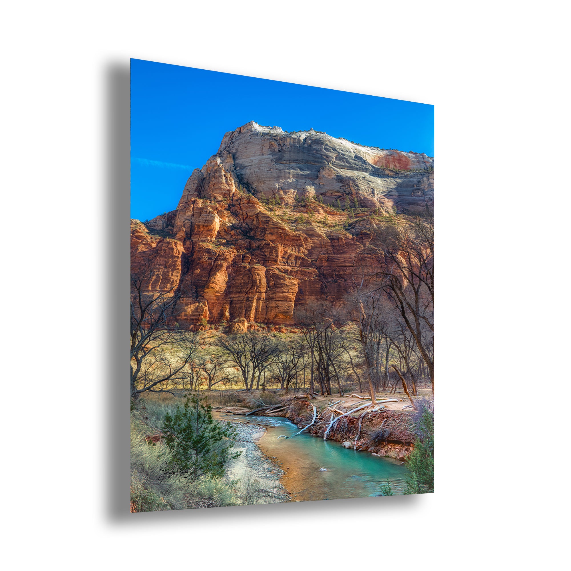 Zion National Park Southern Utah Desert Picture, Southwestern Wall Art, Relaxation Artwork Nature Photo for House Decor