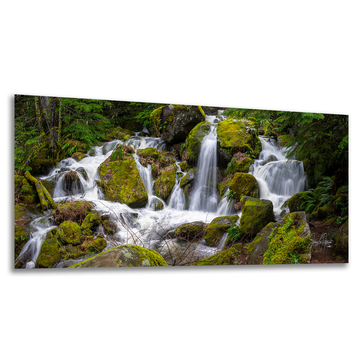 A rectangular wall art print showing a forest stream with mossy rocks and small waterfalls, photographed against a plain white background.