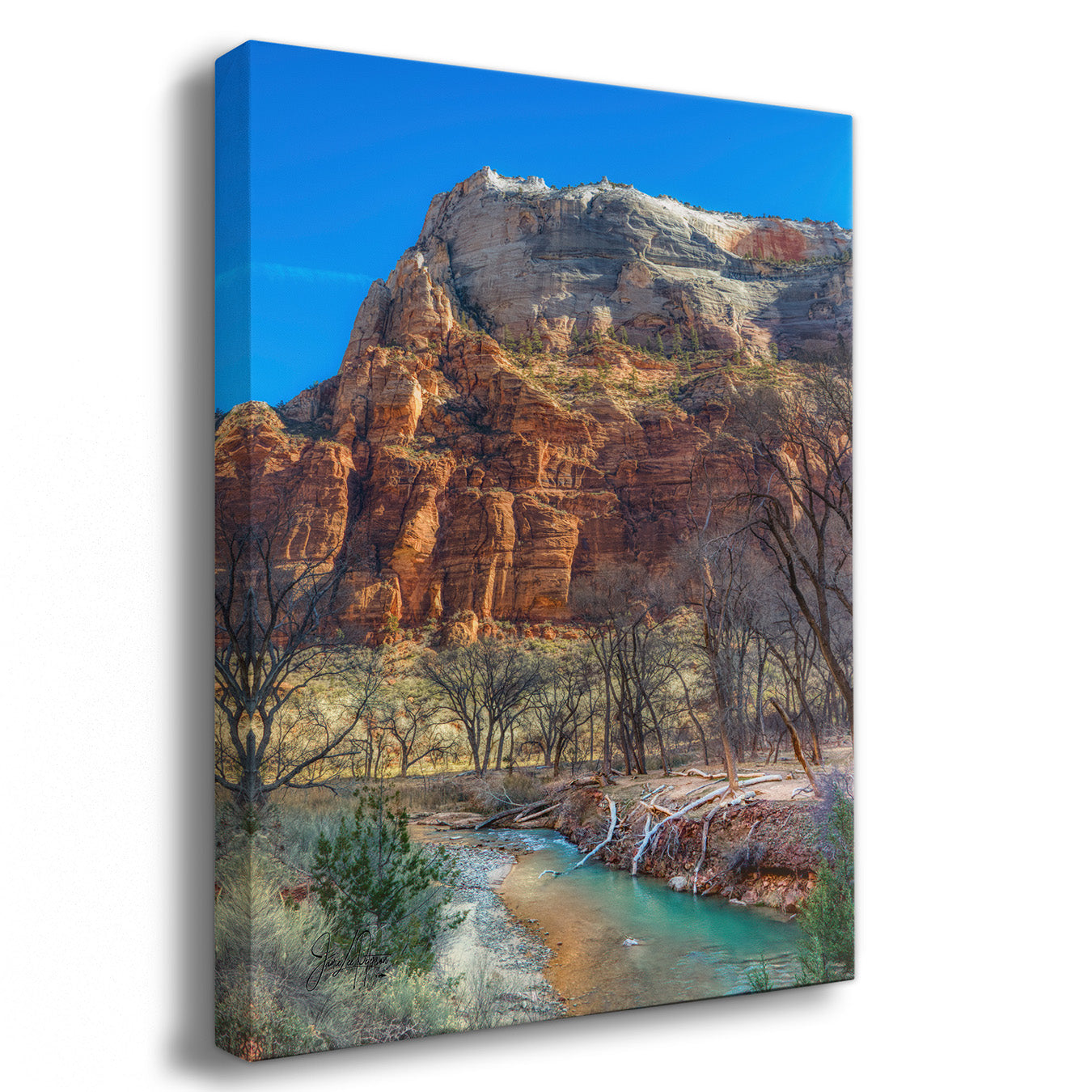 Canvas print of a desert landscape with a river and rocky cliffs in Zion National Park, Utah.