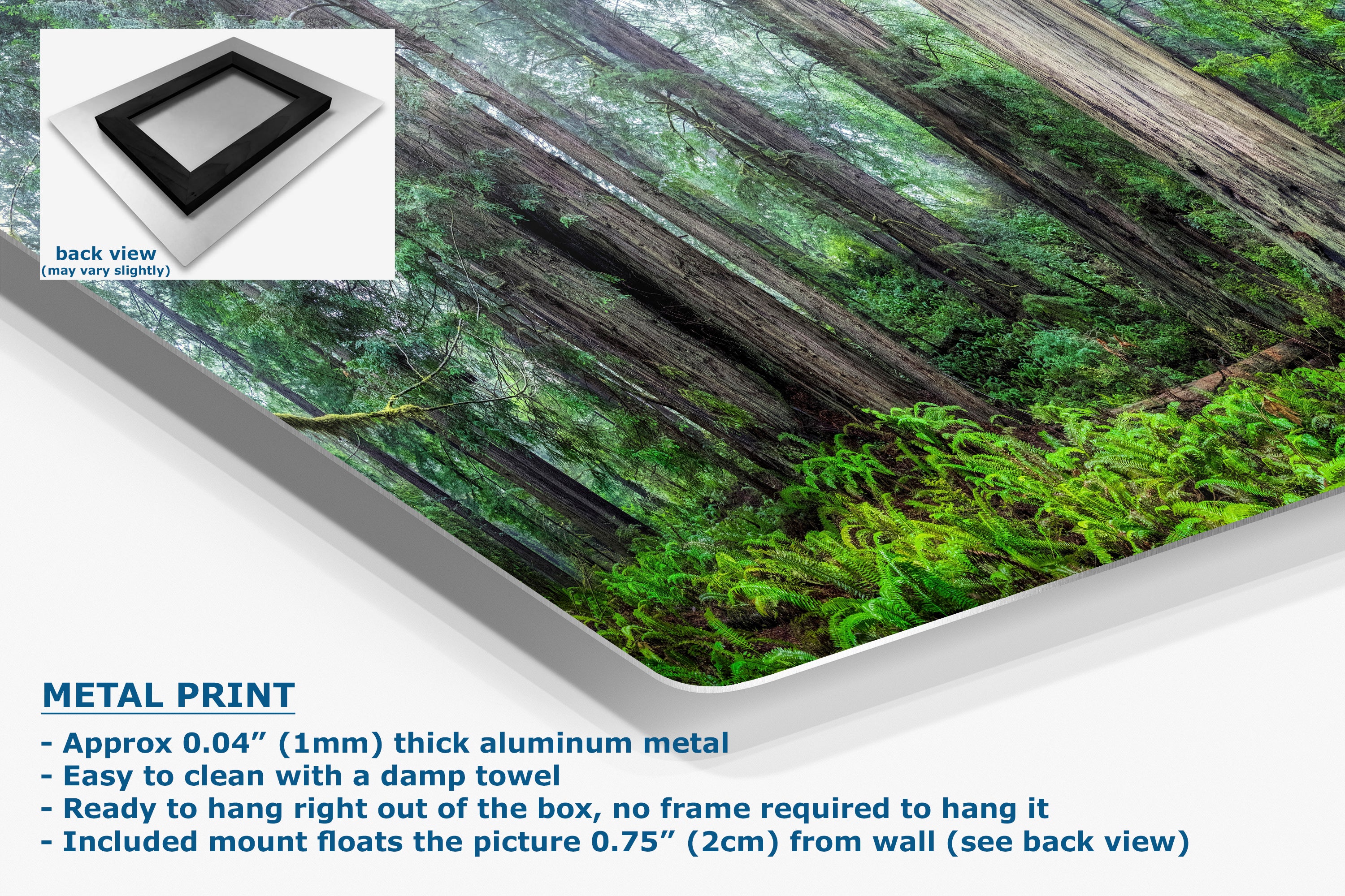 Redwood Trees Forest Picture Nature Photo, Forest Bathing in Misty California Redwoods Wall Art, for Relaxation in the Home and Office